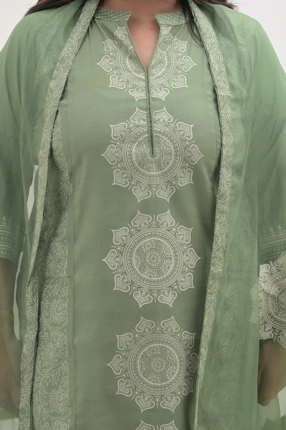 pista green, block print ,  chanderi cotton straight suit