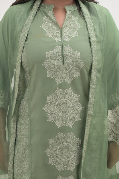 Pista Green, Block Print ,  Chanderi Cotton straight suit