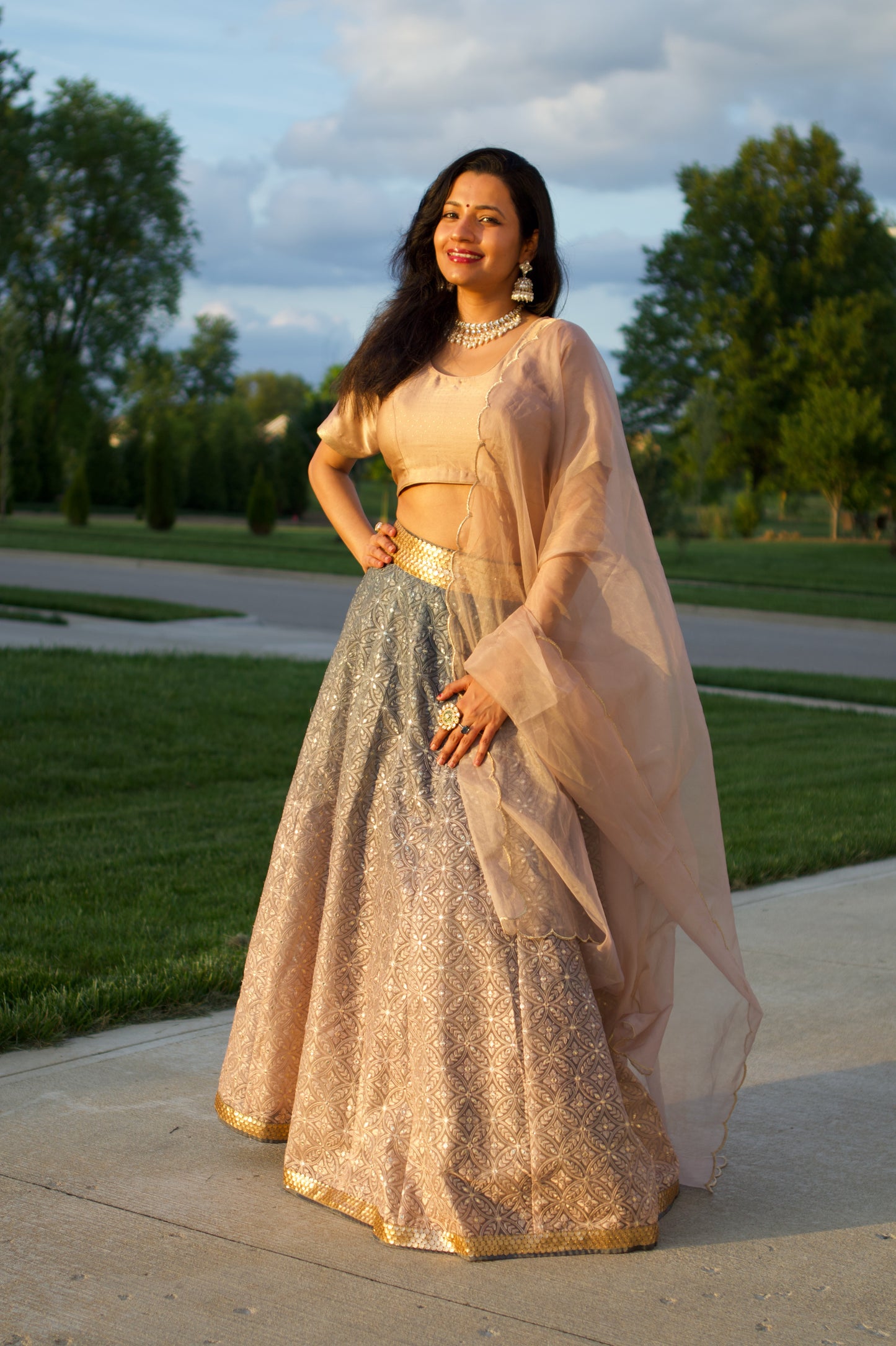 brown ombre organza lehnga set