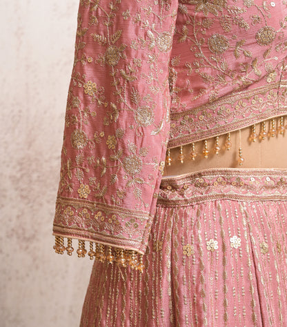 indian lehenga choli